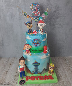 2-yas-paw-patrol-dogum-gunu-pastasi
