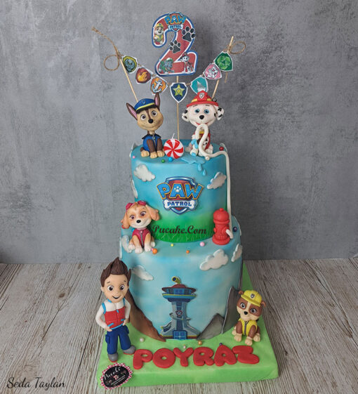 2-yas-paw-patrol-dogum-gunu-pastasi