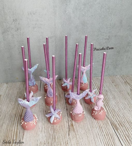 Ankara CakePops Çeşitleri Figürlü Cakepops Pucake