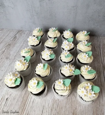 Papatya-cupcake-sıparıs2