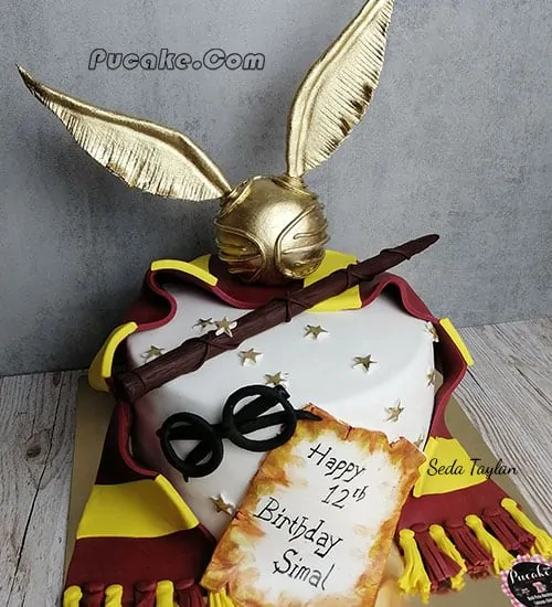 Hary Potter Tasarım Pasta