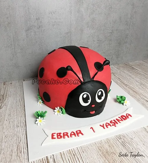 Uğur Böceği Butik Pasta