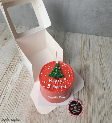 Yeniyıl Tek Kişilik Pasta