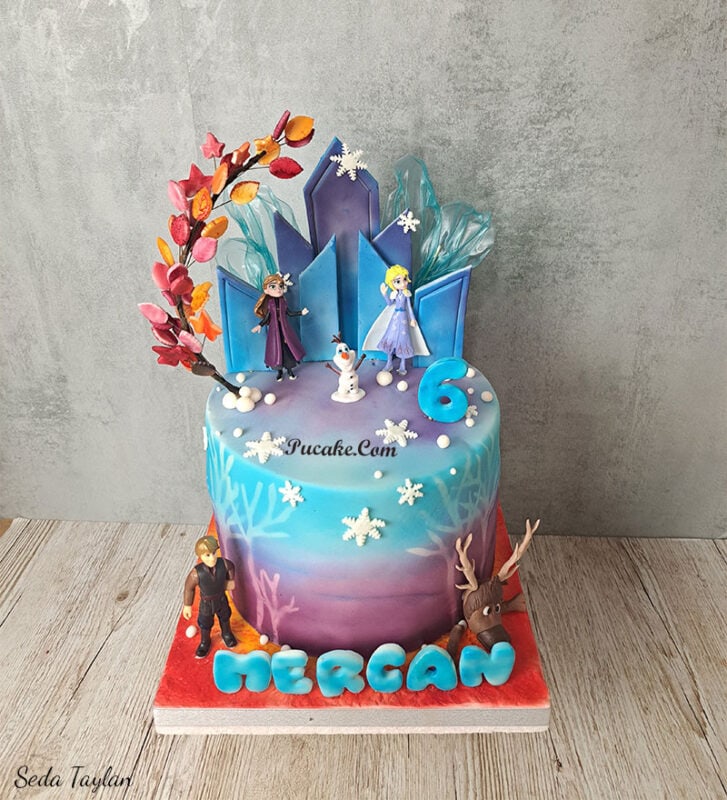 elsa-tasarim-pasta