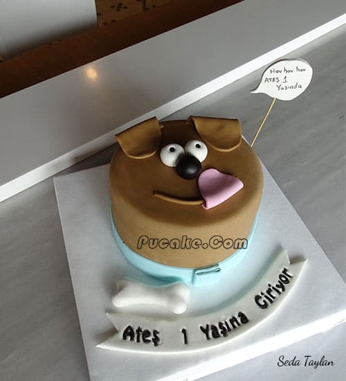 Köpek Pasta Hav Hav Butik Pasta