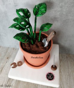 saksi-butik-pasta