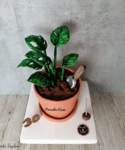 saksi-tasarim-pasta