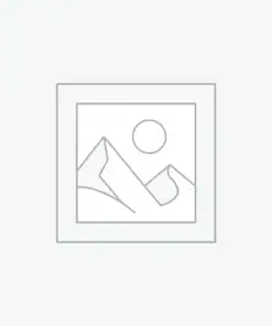 Kurumsal Şirket Pastası